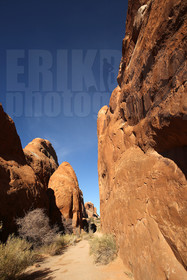 ref-7880-usa18-arches-national-park-usa-desert-road-trip-photographe-ouest-americain.jpg