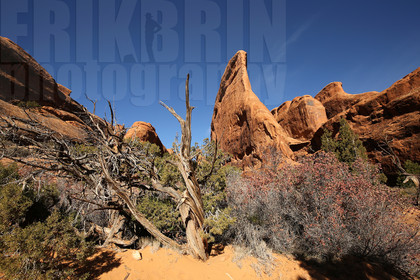 ref-8160-usa18-arches-national-park-usa-desert-road-trip-photographe-ouest-americain.jpg