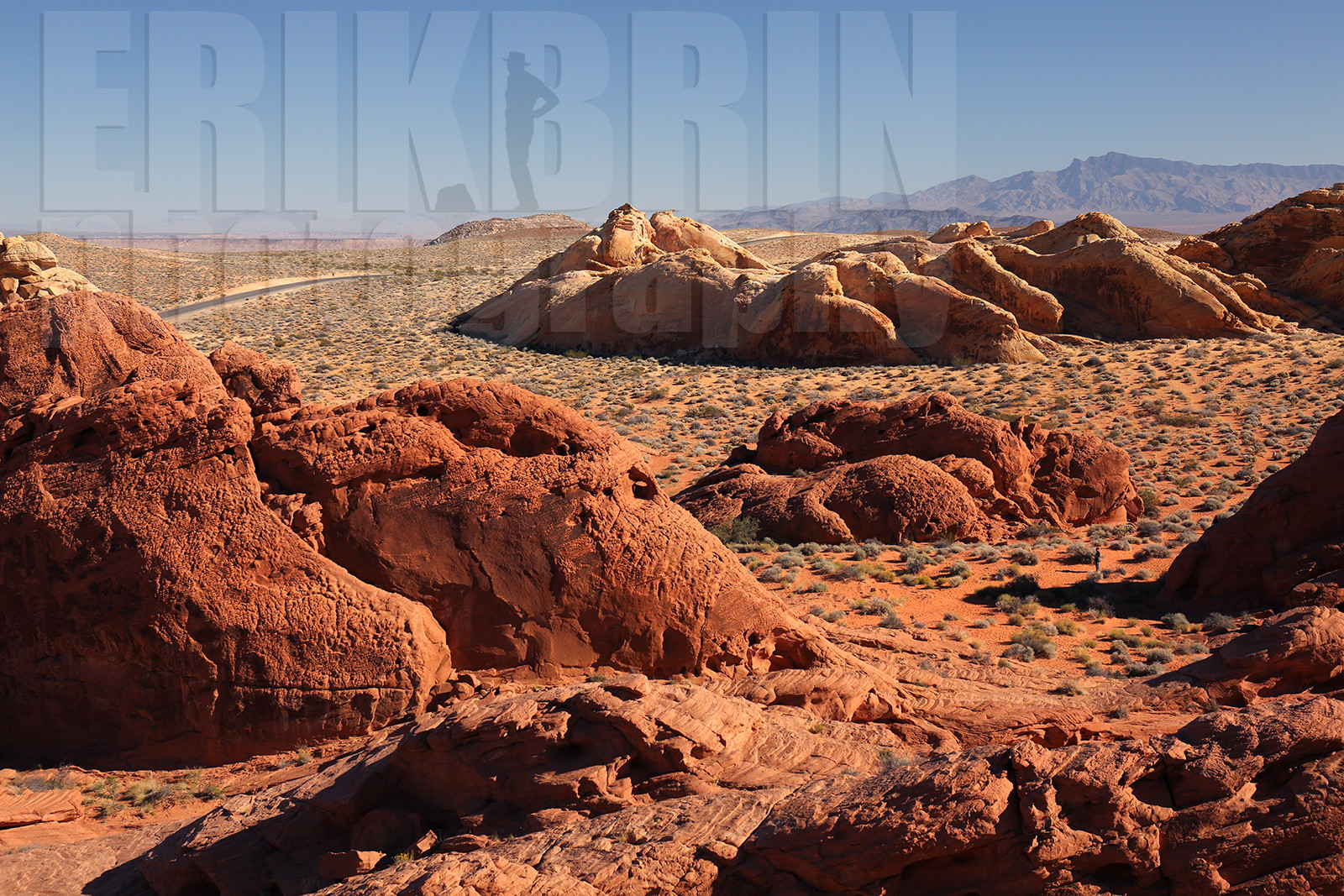 ref-8580-usa18-valley-of-fire-usa-nevada-desert-road-trip-photographe.jpg