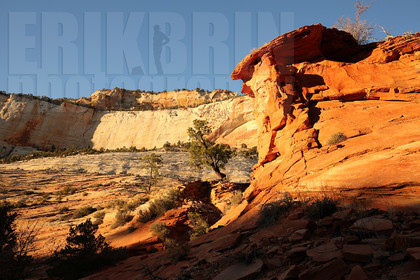ref-9010-usa18-zion-national-park-utah-usa-photographe-phototheque.jpg