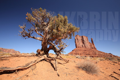 ref-5370-usa18-monument-valley-usa-desert-photos-de-monument-valley-photographe.jpg