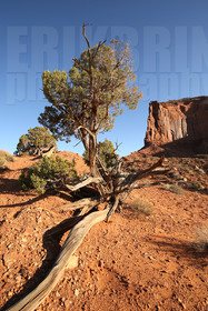 ref-5500-usa18-monument-valley-usa-desert-photos-de-monument-valley-photographe.jpg
