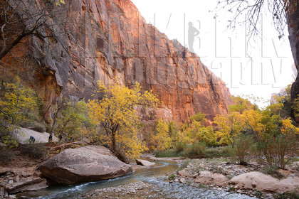 ref-9150-usa18-zion-national-park-utah-usa-photographe-phototheque.jpg