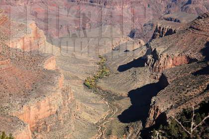 ref-7130-usa18-grand-canyon-usa-road-trip-photographe-desert-ouest-americain-.jpg