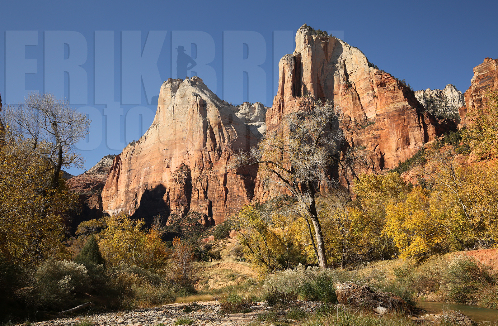 ref-9300-usa18-zion-national-park-utah-usa-photographe-phototheque.jpg