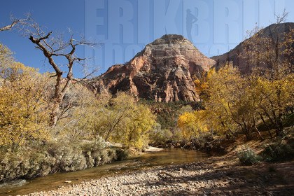 ref-9310-usa18-zion-national-park-utah-usa-photographe-phototheque.jpg