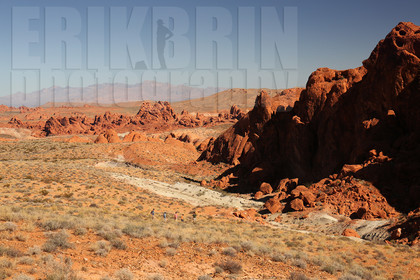 ref-8660-usa18-valley-of-fire-usa-nevada-desert-road-trip-photographe.jpg