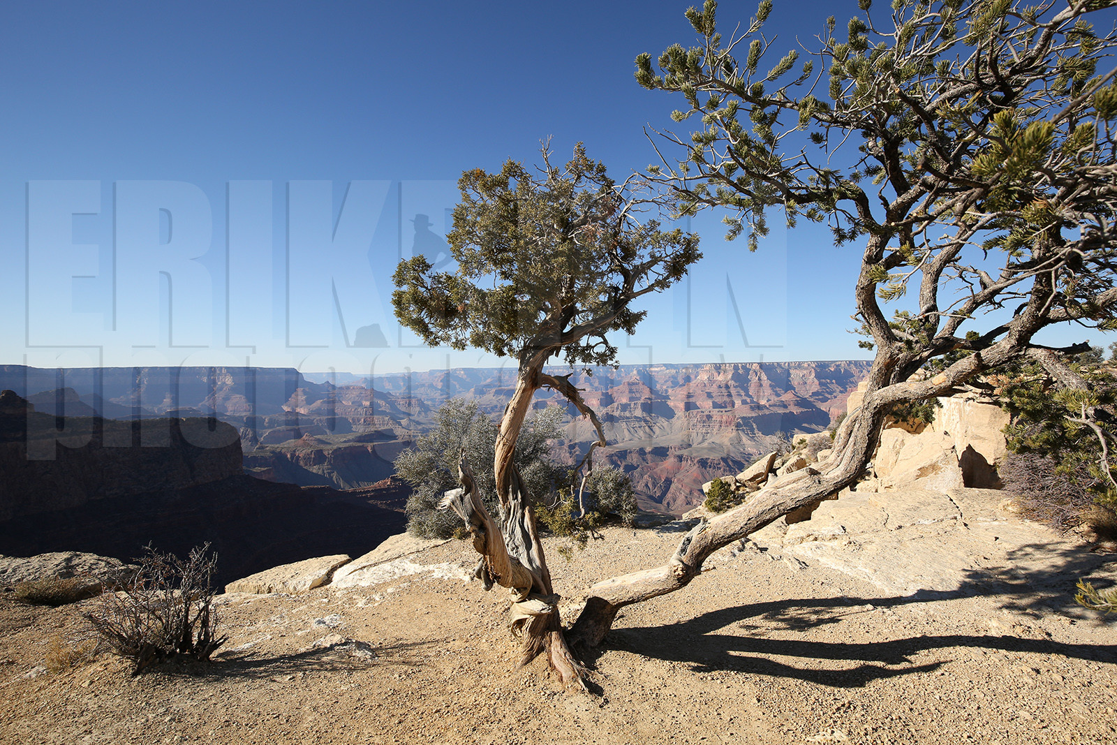 ref-7050-usa18-grand-canyon-usa-road-trip-photographe-desert-ouest-americain-.jpg