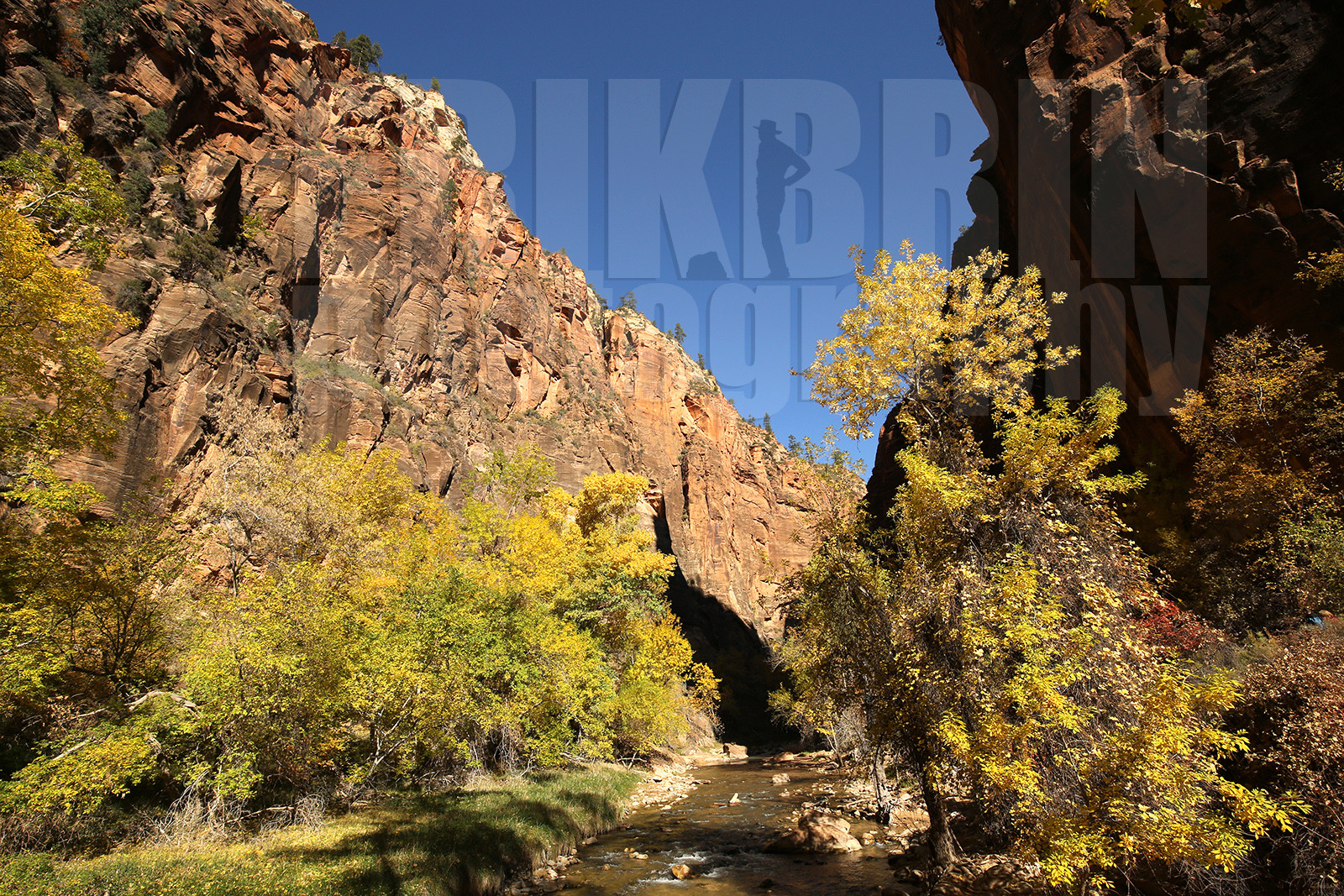 ref-9190-usa18-zion-national-park-utah-usa-photographe-phototheque.jpg