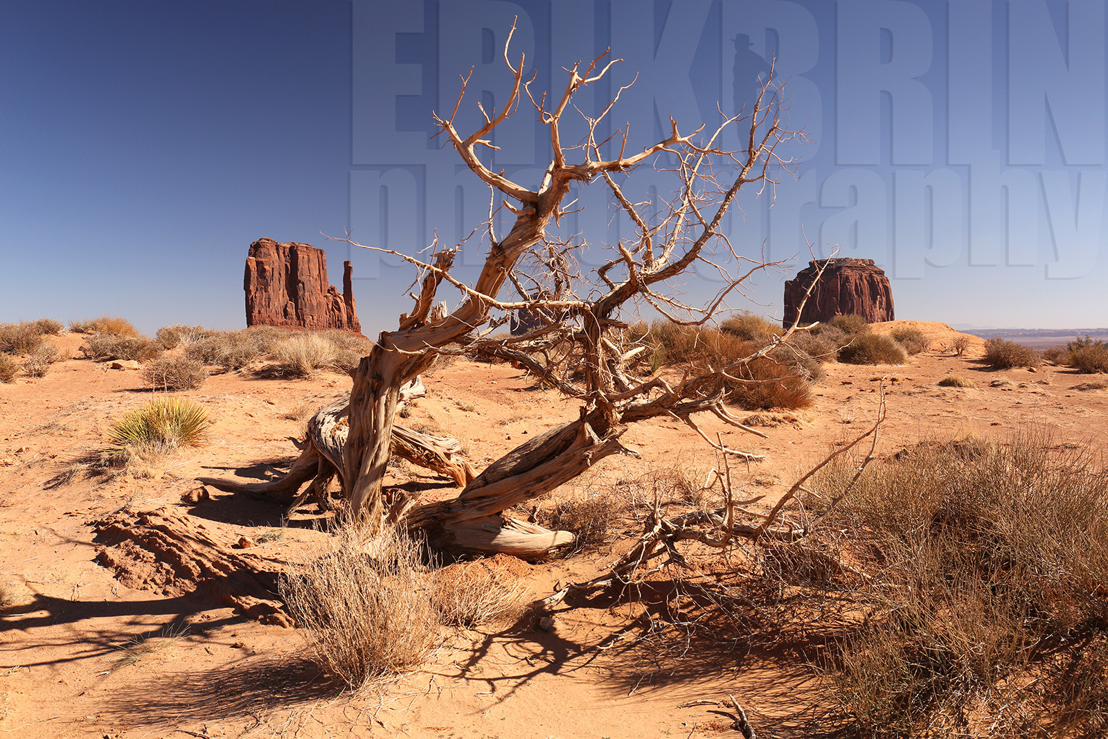 ref-5310-usa18-monument-valley-usa-desert-photos-de-monument-valley-photographe.jpg