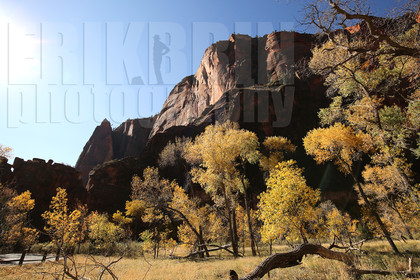 ref-9260-usa18-zion-national-park-utah-usa-photographe-phototheque.jpg
