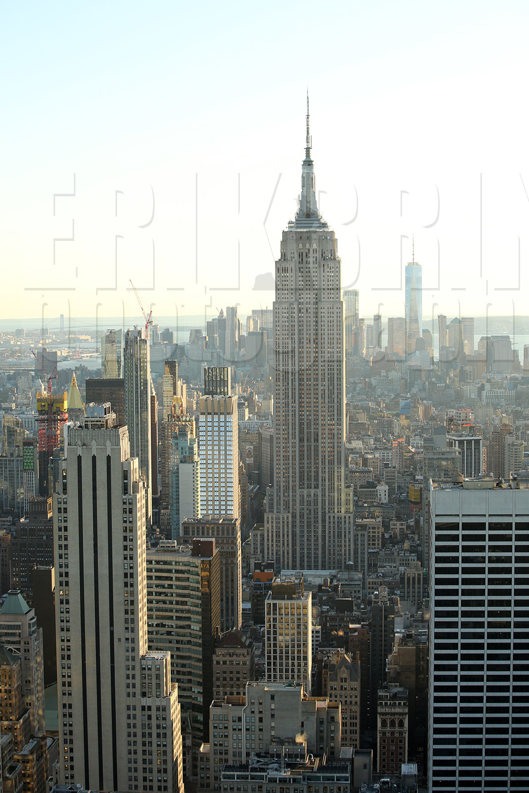 ref-1100-usa19-new-york-ny-manhattan-empire-state-building-photographe.jpg