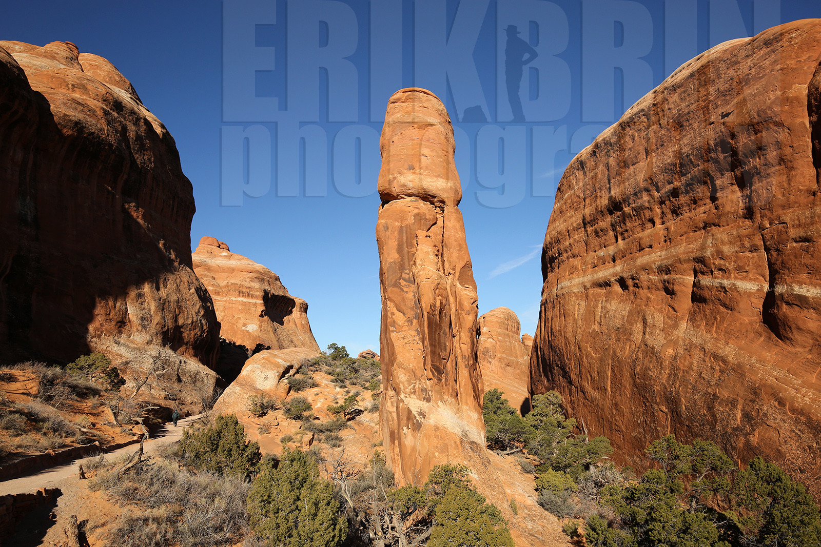ref-7790-usa18-arches-national-park-usa-desert-road-trip-photographe-ouest-americain.jpg