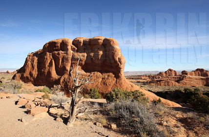 ref-8020-usa18-arches-national-park-usa-desert-road-trip-photographe-ouest-americain.jpg