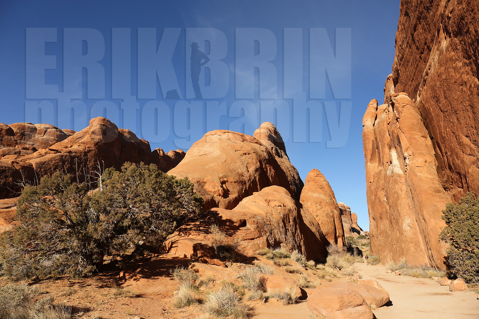 ref-7850-usa18-arches-national-park-usa-desert-road-trip-photographe-ouest-americain.jpg