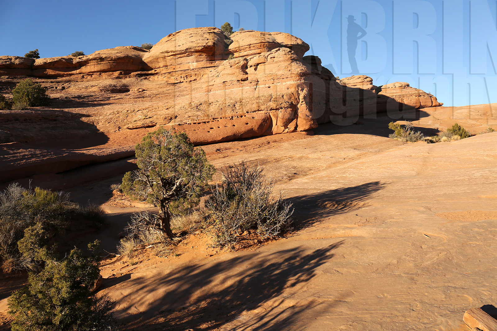 ref-7620-usa18-arches-national-park-delicate-arch-usa-desert-road-trip-photographe-ouest-americain.jpg ref-7620-usa18-arches-national-park-delicate-arch-usa-desert-road-trip-photographe-ouest-americain.jpg