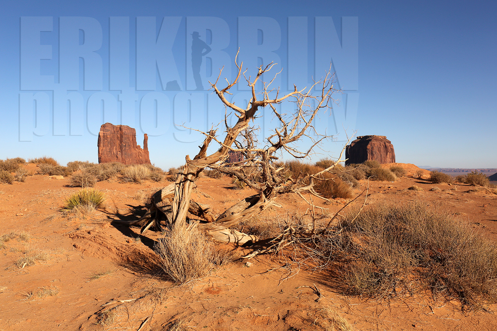 ref-5550-usa18-monument-valley-usa-desert-photos-de-monument-valley-photographe.jpg