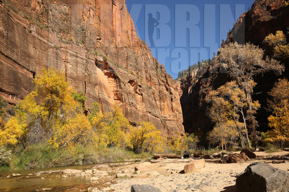 ref-9240-usa18-zion-national-park-utah-usa-photographe-phototheque.jpg