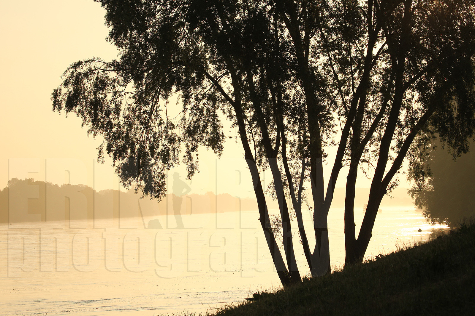 ref-1740-lo10-la-loire-paysage-photos-de-la-loire-photographe-brume-brouillard.jpg