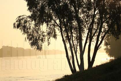 ref-1740-lo10-la-loire-paysage-photos-de-la-loire-photographe-brume-brouillard.jpg