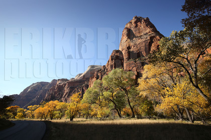 ref-9330-usa18-zion-national-park-utah-usa-photographe-phototheque.jpg