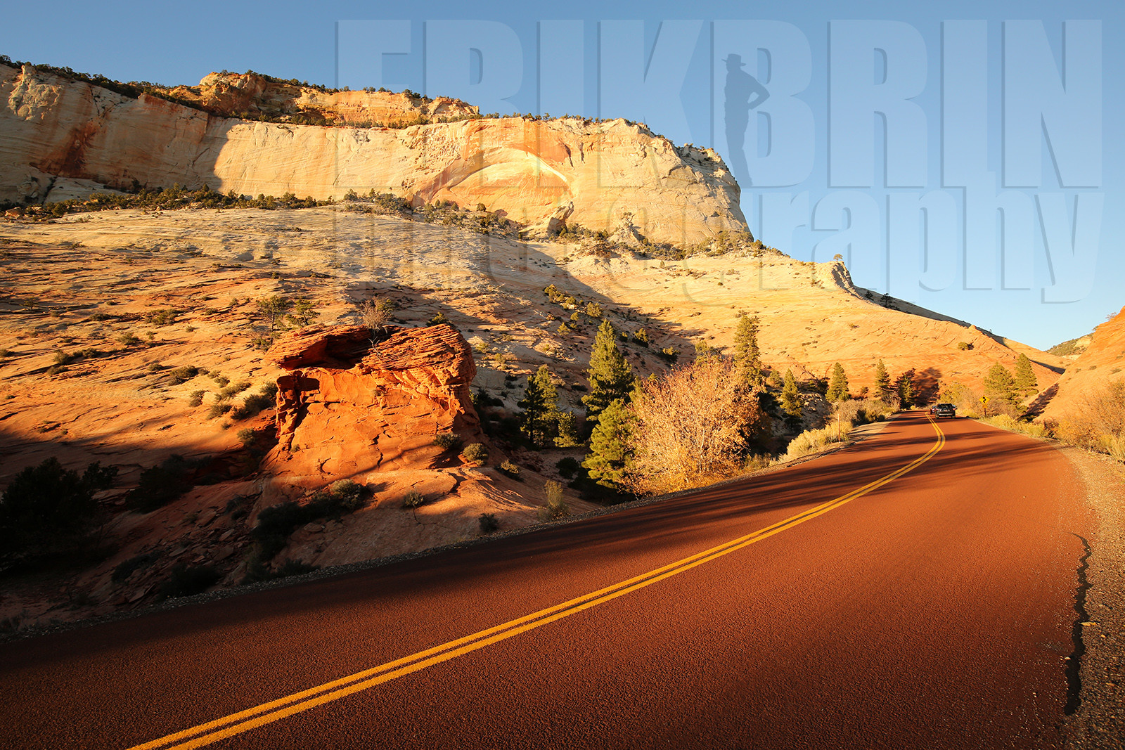 ref-9020-usa18-zion-national-park-utah-usa-photographe-phototheque.jpg