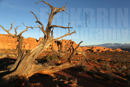 ref-7700-usa18-arches-national-park-usa-desert-road-trip-photographe-ouest-americain.jpg