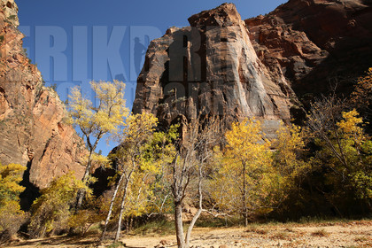 ref-9200-usa18-zion-national-park-utah-usa-photographe-phototheque.jpg