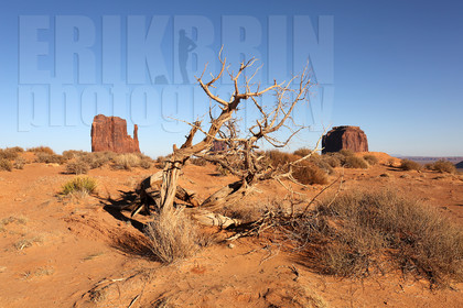 ref-5550-usa18-monument-valley-usa-desert-photos-de-monument-valley-photographe.jpg