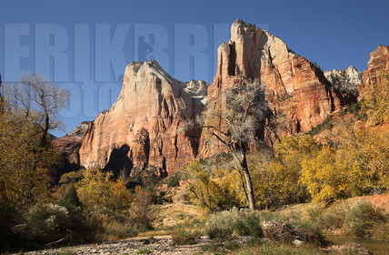 ref-9300-usa18-zion-national-park-utah-usa-photographe-phototheque.jpg