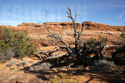 ref-8190-usa18-arches-national-park-usa-desert-road-trip-photographe-ouest-americain.jpg