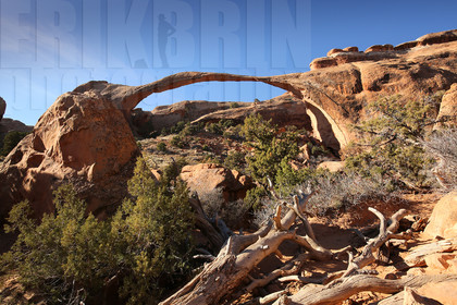 ref-8050-usa18-arches-national-park-usa-desert-road-trip-photographe-ouest-americain.jpg