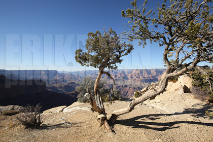 ref-7050-usa18-grand-canyon-usa-road-trip-photographe-desert-ouest-americain-.jpg