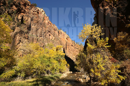 ref-9190-usa18-zion-national-park-utah-usa-photographe-phototheque.jpg