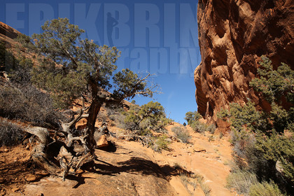 ref-8130-usa18-arches-national-park-usa-desert-road-trip-photographe-ouest-americain.jpg