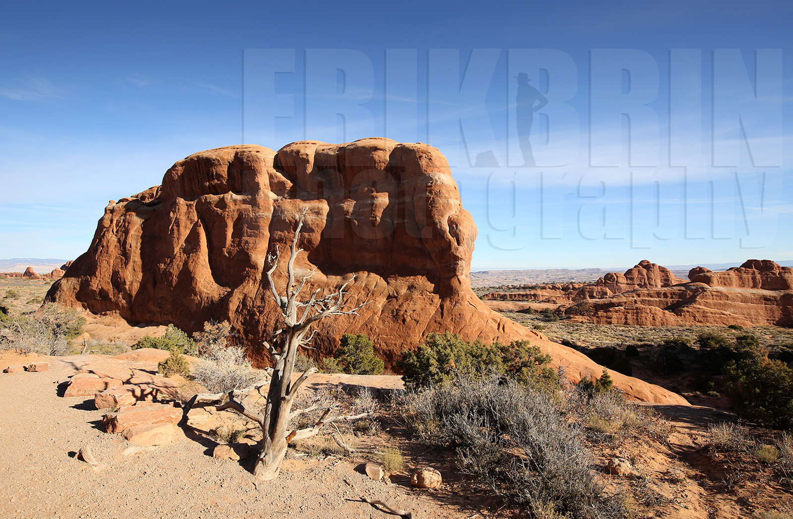 ref-8020-usa18-arches-national-park-usa-desert-road-trip-photographe-ouest-americain.jpg