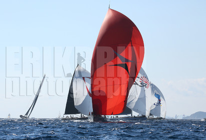 ref15010-vst2016-spi-voile-voilier-bateau-mer-photographe.jpg
