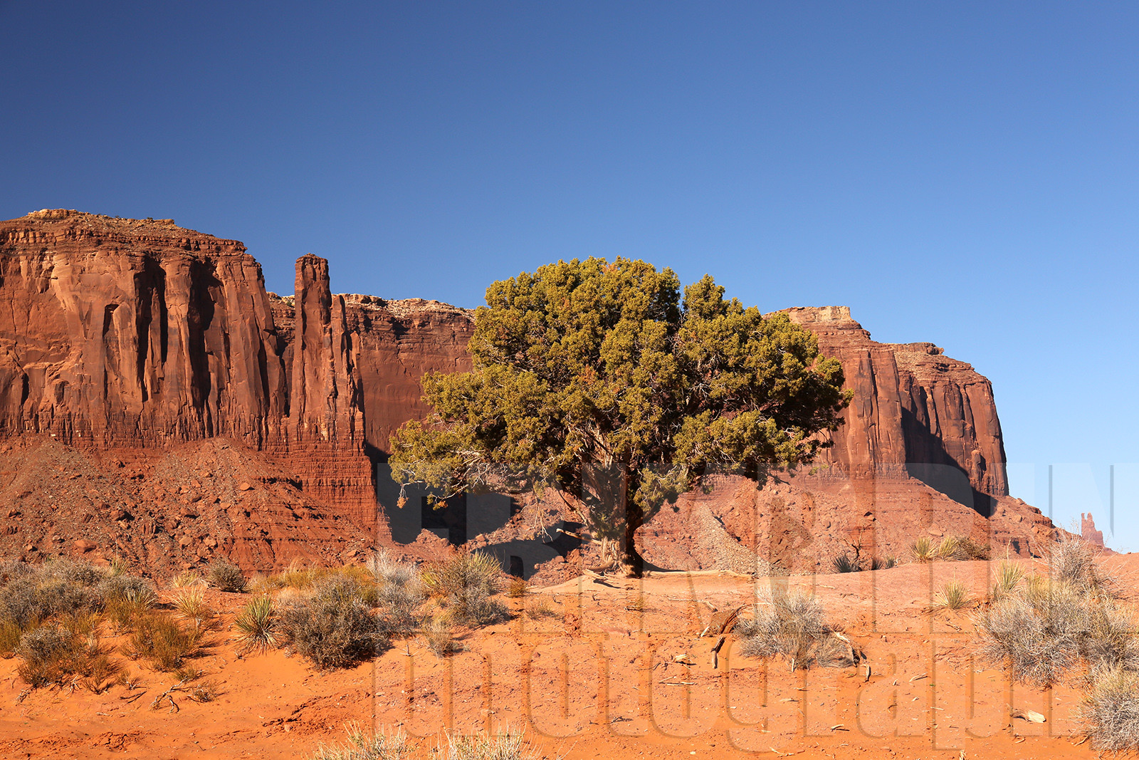 ref-5440-usa18-monument-valley-usa-desert-photos-de-monument-valley-photographe.jpg