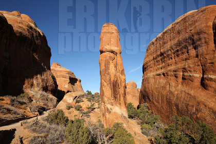 ref-7790-usa18-arches-national-park-usa-desert-road-trip-photographe-ouest-americain.jpg