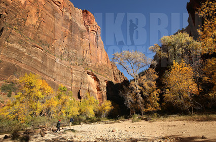 ref-9130-usa18-zion-national-park-utah-usa-photographe-phototheque.jpg