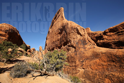 ref-8140-usa18-arches-national-park-usa-desert-road-trip-photographe-ouest-americain.jpg