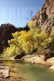 ref-9180-usa18-zion-national-park-utah-usa-photographe-phototheque.jpg