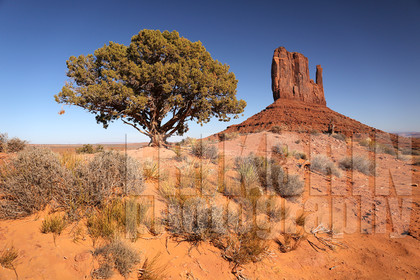 ref-5420-usa18-monument-valley-usa-desert-photos-de-monument-valley-photographe.jpg